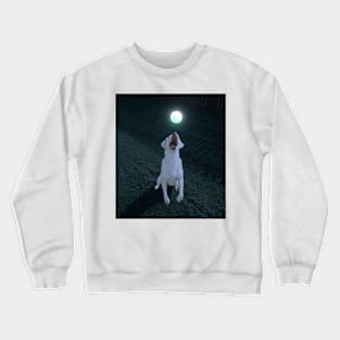 Dog playing glow ball Crewneck Sweatshirt